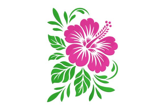 Beautiful Hibiscus Flower