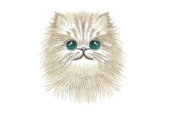 Persian Cat