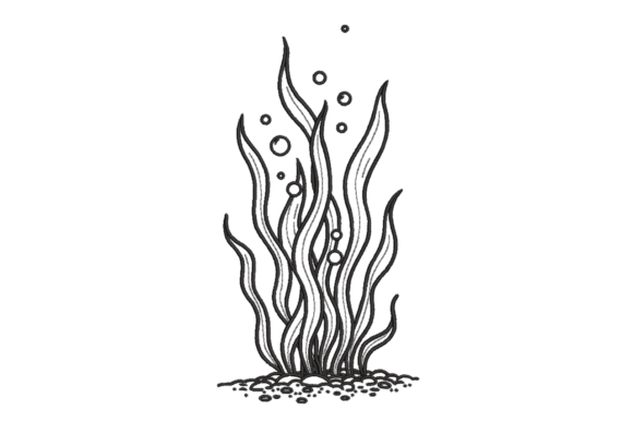 Underwater Seaweed